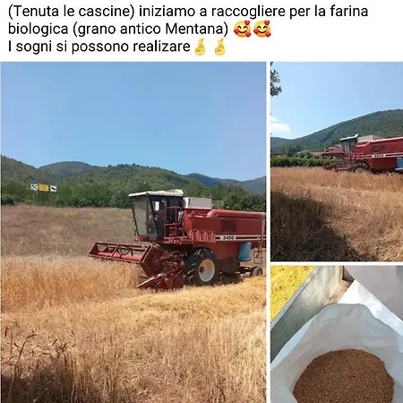 Farm stay Tenuta Le Cascine *